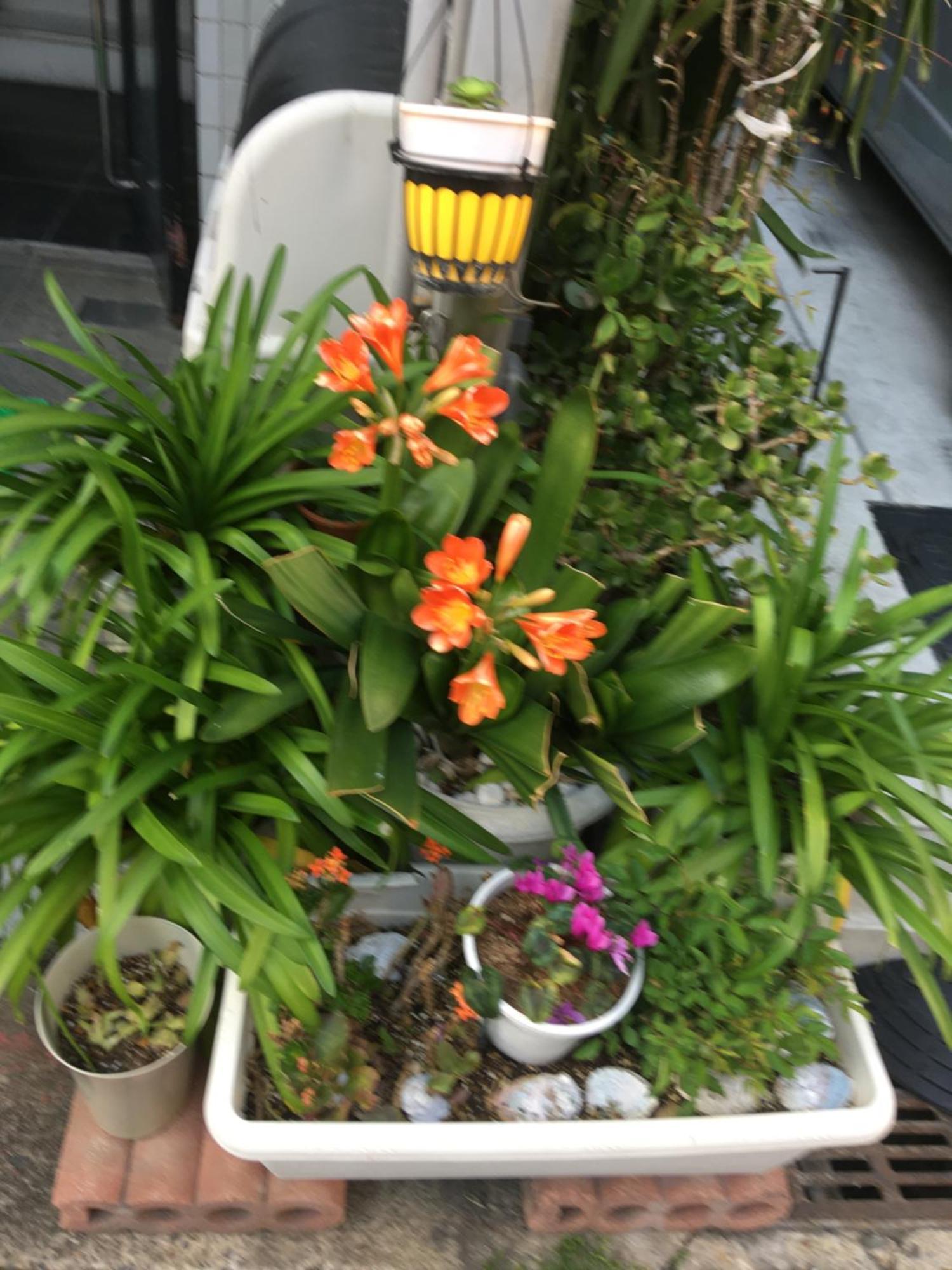 Hanmadang Osaka Exteriör bild
